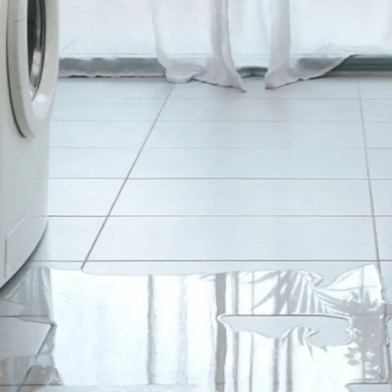 Appliance Leak Cleanup in Williamstown, NJ